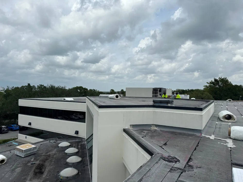 Upper roof edge overlooking a lower roof section with skylight domes and the building’s stucco walls, with trees and a parking lot below.