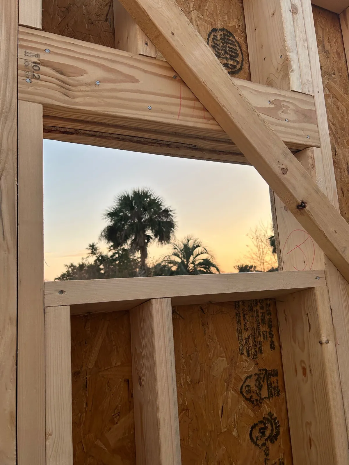 Framed window opening with a header above and a palm tree silhouetted outside at sunset.